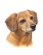 Meake Thumbnail Image